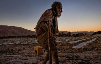 পচা সজারু খেয়ে ষাট বছরেরও বেশি বেঁচে আছেন যে বৃদ্ধ