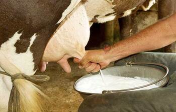 আজকের আলোচিত ছবি: ০১ জুন ২০২৪