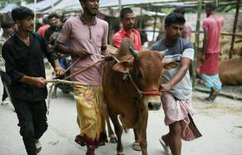 জমে উঠেছে বনশ্রীর পশুর হাট