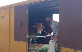 আজকের আলোচিত ছবি: ১৪ জুন ২০২৪