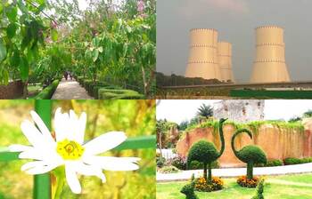 নাটোরের গ্রিন ভ্যালি