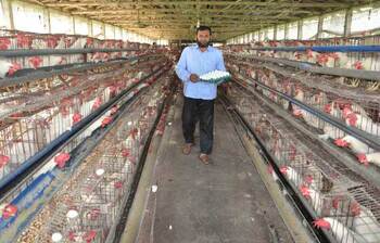 আজকের আলোচিত ছবি: ১২ অক্টোবর ২০২৪