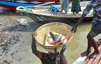 আজকের আলোচিত ছবি: ০৫ নভেম্বর ২০২৪