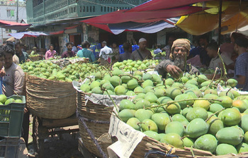 আজকের আলোচিত ছবি: ২০ মে ২০২৫
