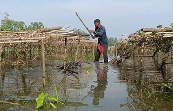 আজকের আলোচিত ছবি: ১২ জুন ২০২৫