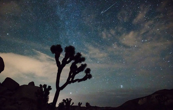 বাংলাদেশ থেকেও দেখা যাবে পারসিয়েডস উল্কাবৃষ্টি