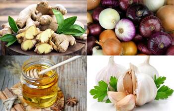 প্রাকৃতিক চার অ্যান্টিবায়োটিক