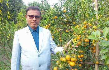 চায়না কমলা চাষে শিক্ষকের বাজিমাত