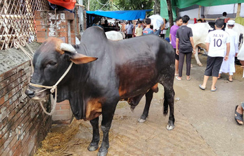 আজকের আলোচিত ছবি: ৩ জুন ২০২৫