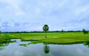 আজকের আলোচিত ছবি: ১৬ আগস্ট ২০২৪