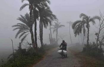 আজকের আলোচিত ছবি: ১১ জানুয়ারি ২০২৫