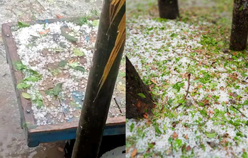 জামালপুরে শিলাবৃষ্টিতে ফসলের ক্ষতি