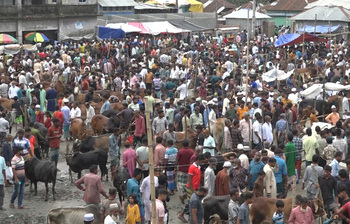 লোকজনে গমগম হাট, তবু নেই কাঙ্ক্ষিত বিক্রি