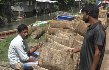 পিরোজপুরের চাঁইয়ের হাট: ঐতিহ্যের মেলা আর সংকটের ছায়া
