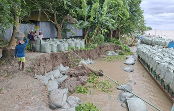 ভাঙনের গহ্বরে পদ্মার পাড়, নিরাপত্তাহীনতায় স্থানীয়রা