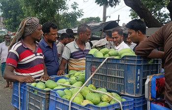 জমেনি রাজশাহীর আমের বাজার