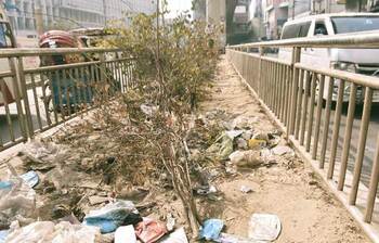 অযত্নে প্রাণহীন সড়ক বিভাজনে থাকা গাছপালা