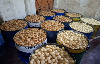 ক্ষীর চমচমের দেশে নেই দম ফেলার সময়