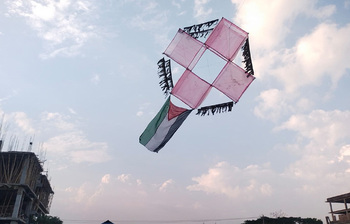 মিরসরাইয়ের আকাশে বাহারি সব ঘুড়ি