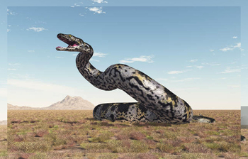 পৃথিবীর সবচেয়ে বড় সাপ টাইটানোবোয়া