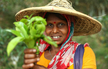 চা শ্রমিকদের জীবন চলে যেভাবে