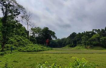 পরিবেশে নানাবিধ ক্ষতিকর প্রভাব