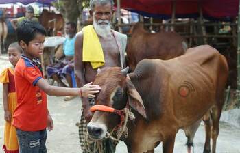 ভাটারায় গরু-ছাগলের হাট