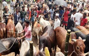 জমজমাট সিরাজগঞ্জের কালিয়া কান্দাপাড়া হাট