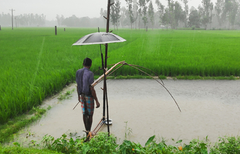 গ্রামীণ জীবনের অনন্য সৌন্দর্য