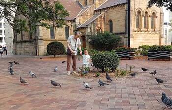 সকাল বেলার রোদ্দুর