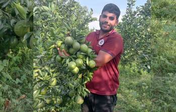 মাল্টা চাষে রাবি শিক্ষার্থীর বাজিমাত