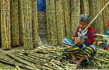 বেড়েছে আখ বিক্রেতাদের কর্মব্যস্ততা
