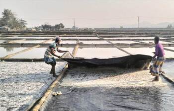 লসে লবণ বিক্রি, দুশ্চিন্তায় চাষিরা