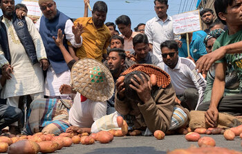 সড়কে আলু ফেলে কৃষকের প্রতিবাদ