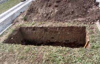 আজকের আলোচিত ছবি: ২০ ডিসেম্বর ২০২৫