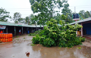 আজকের আলোচিত ছবি: ১৪ মে ২০২৩