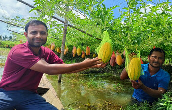 অসময়ে তরমুজ চাষে বাম্পার ফলন
