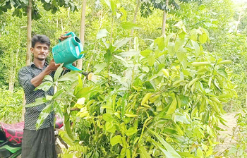 প্রবাস ফেরত সেলিমের সফলতা