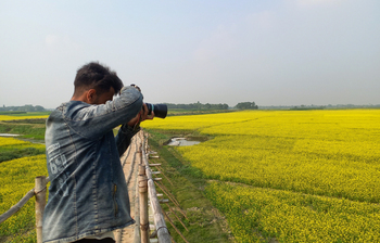 সরিষা ফুলে মজেছেন প্রকৃতিপ্রেমীরা