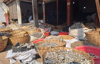 জামালপুরে জমজমাট শুঁটকির হাট