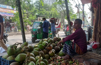 কদর বেড়েছে ডাব-শরবতের