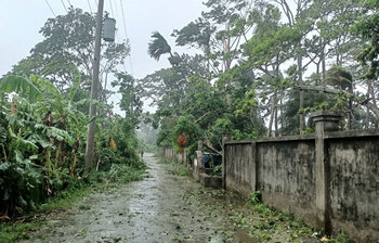 রিমালের তাণ্ডবে লণ্ডভণ্ড উপকূল