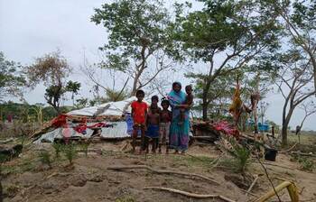 দিশেহারা নিঝুমদ্বীপের বাসিন্দারা