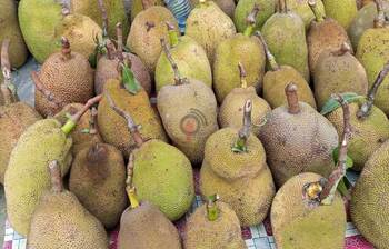 খুলনার কাঁঠালের হাট