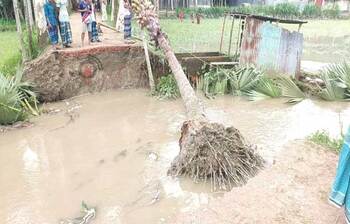 চরম বিপাকে টাঙ্গাইলের পানিবন্দিরা