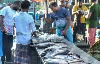 বাজারে বেড়েছে মাছের সরবরাহ