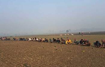 স্বপ্ন বুনতে ব্যস্ত ফরিদপুরের কৃষকরা