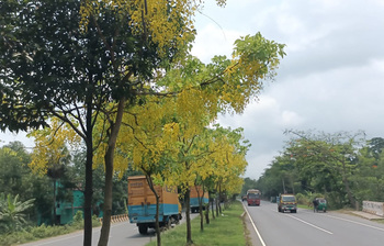 ঢাকা-চট্টগ্রাম মহাসড়কে গ্রীষ্মের রঙিন জাদু