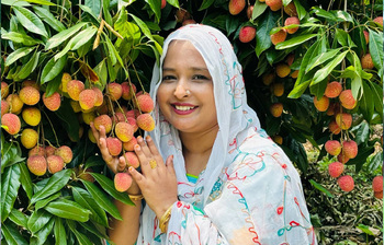 গাছে গাছে ঝুলছে রসালো লিচু