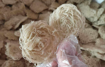 নকশী পিঠায় ঈদ আনন্দ